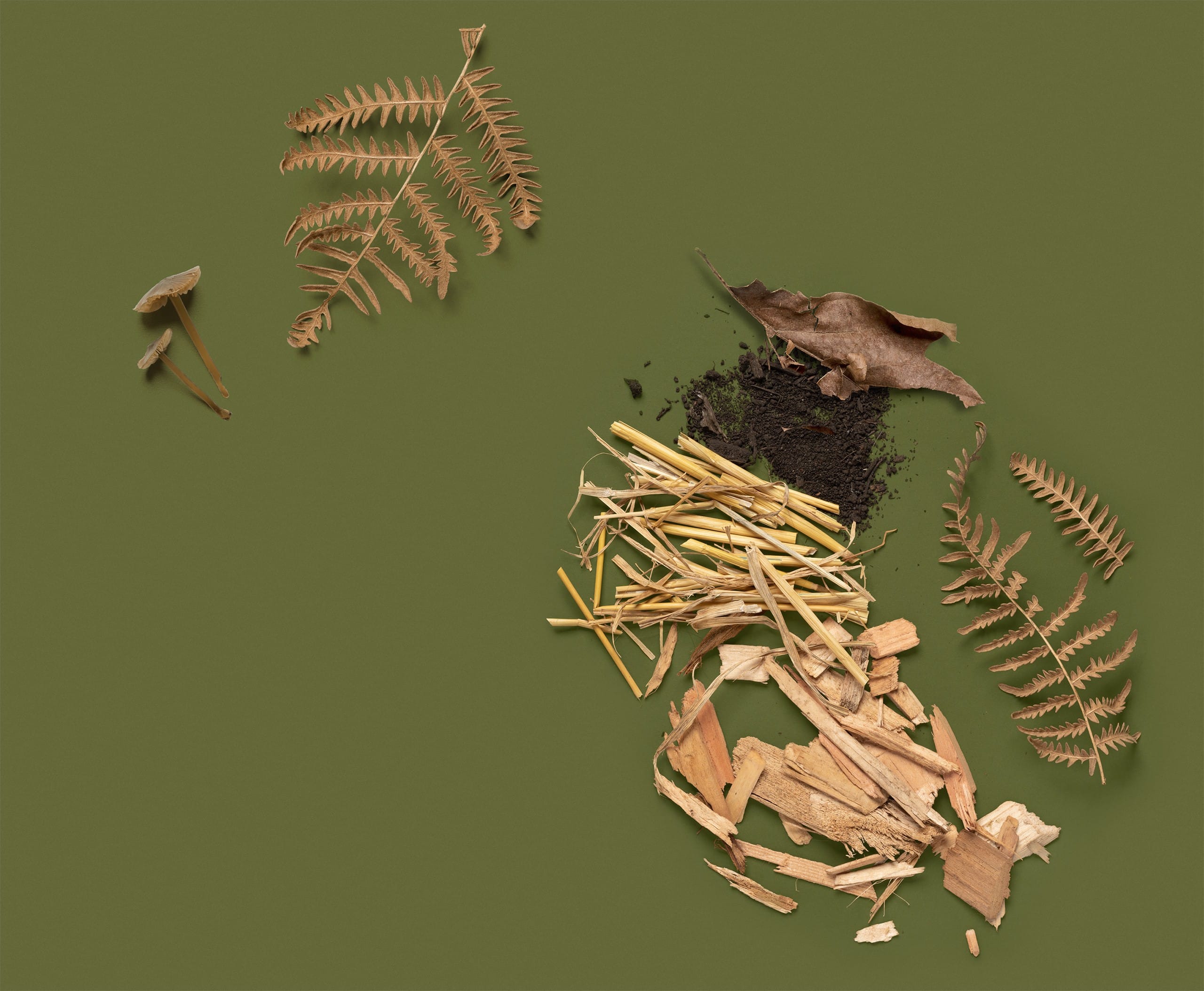 dried woodchips, leaves and dirt on a green background