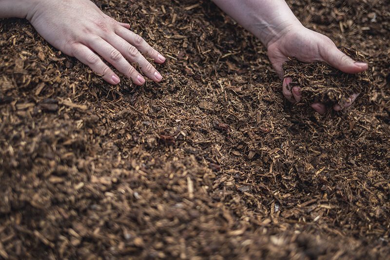 Best compost to use for which jobs
