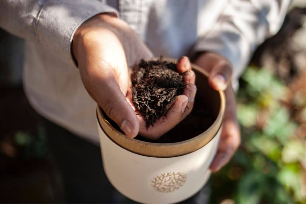 Hand holding soil from human composting