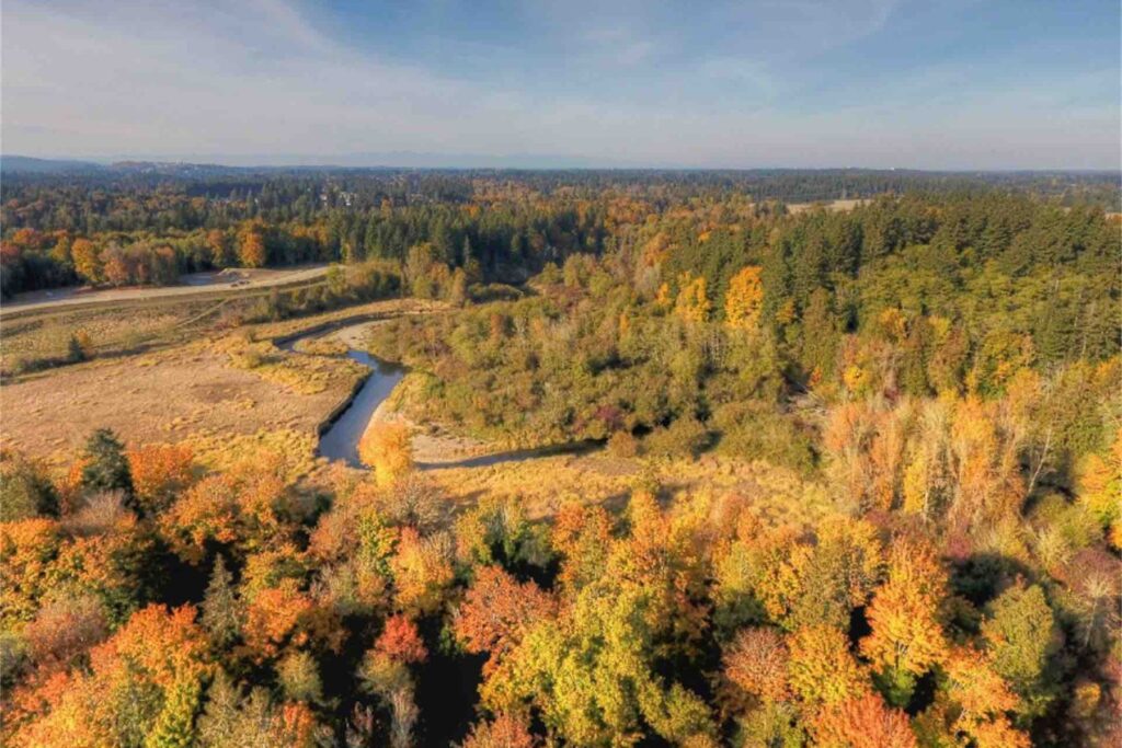 aerial shot of conserved land in washington