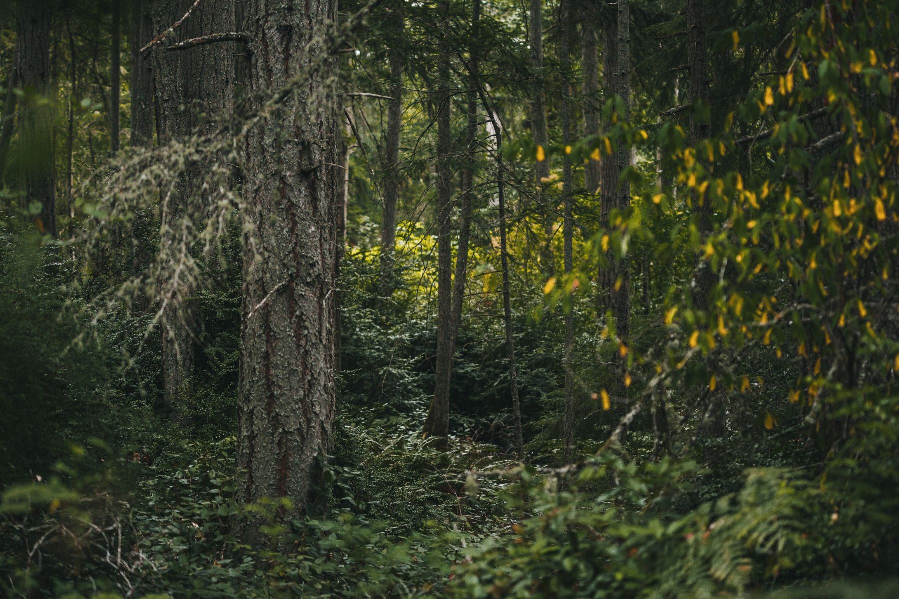 Soil Donation | The Land Program | Recompose