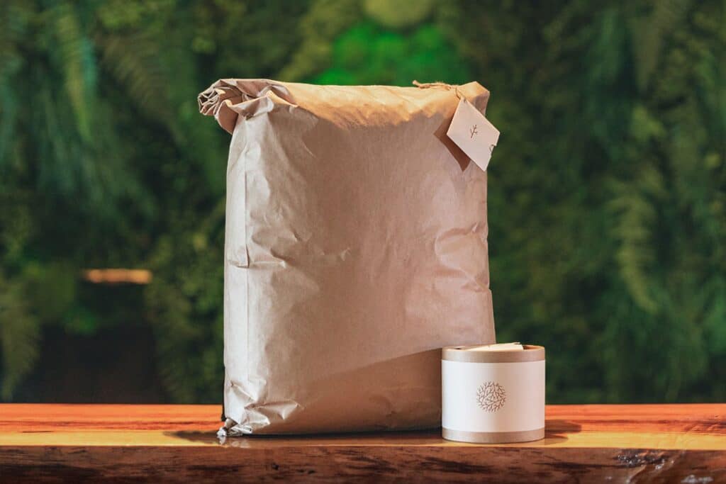 paper bag and small container with green living wall behind it