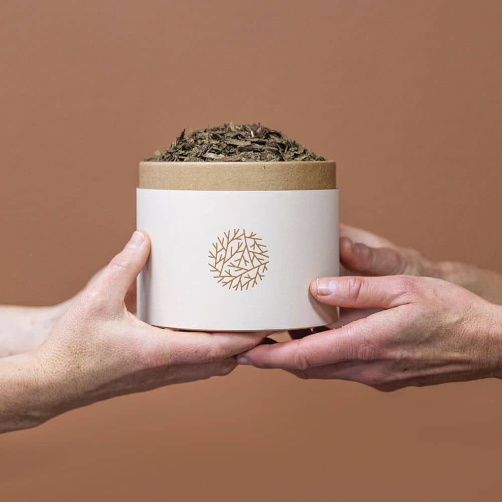 4 hands holding container of soil