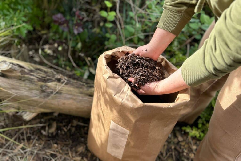 person holding soil in hands in a paper bag