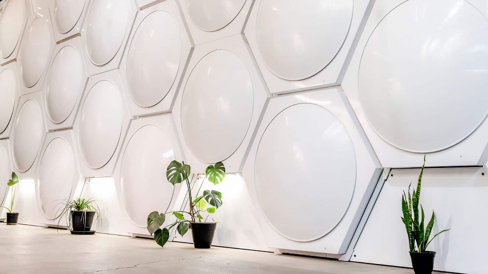 white vessel array for human composting with plants in front