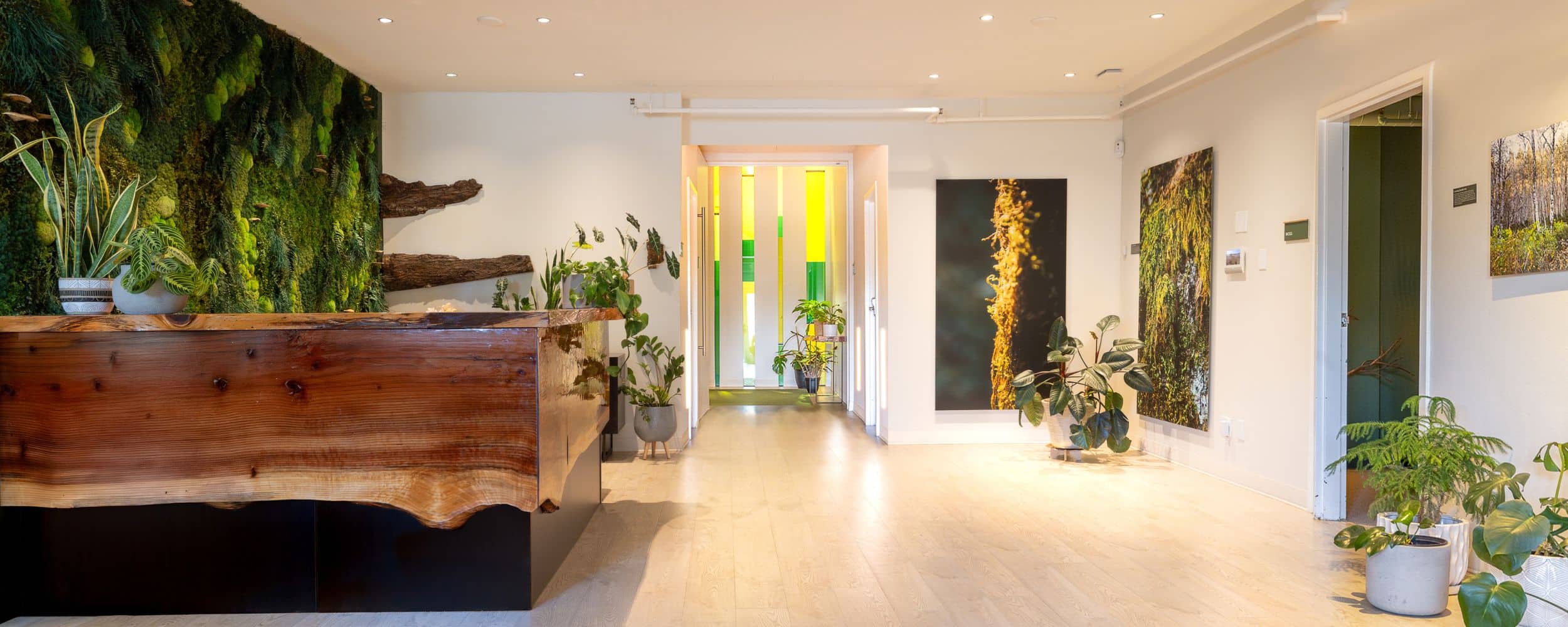 lobby of a funeral home with a lush plant wall on the left side and a desk made of a slab of wood