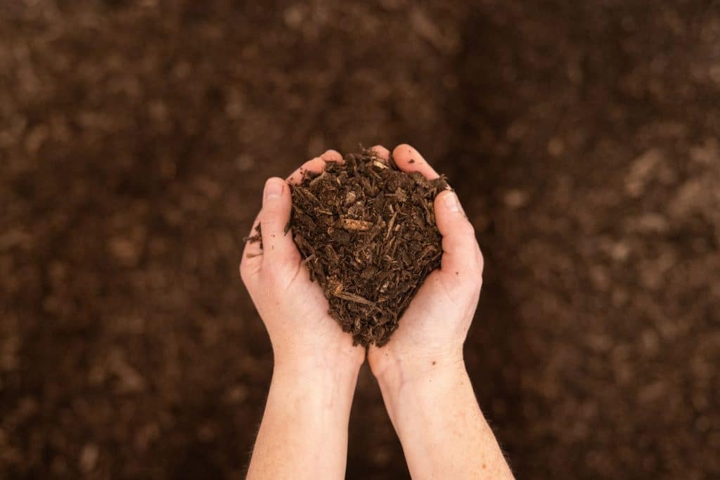 soil in hands