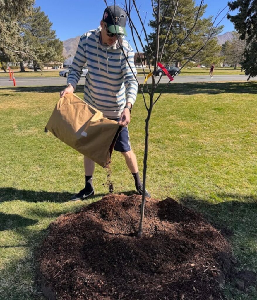 person emptying bag of human composting soil around a tree